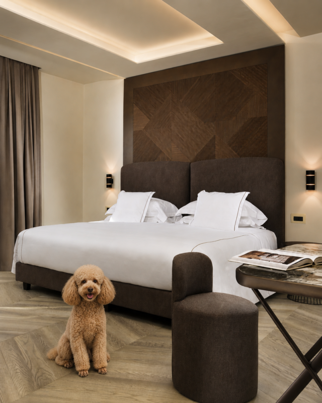 hotel pet friendly roma