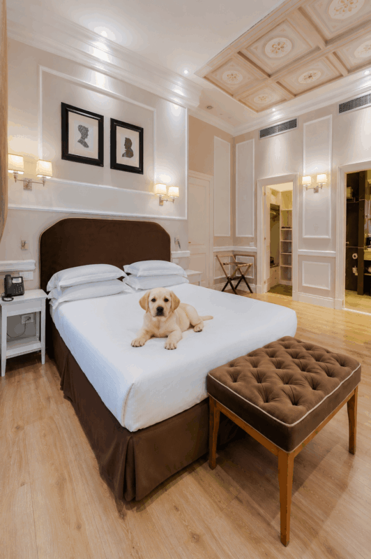 hotel firenze centro pet friendly
