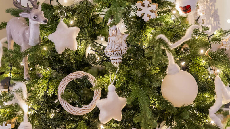 FH55 Hotels - Eventi di Natale a Fiesole 2025 1