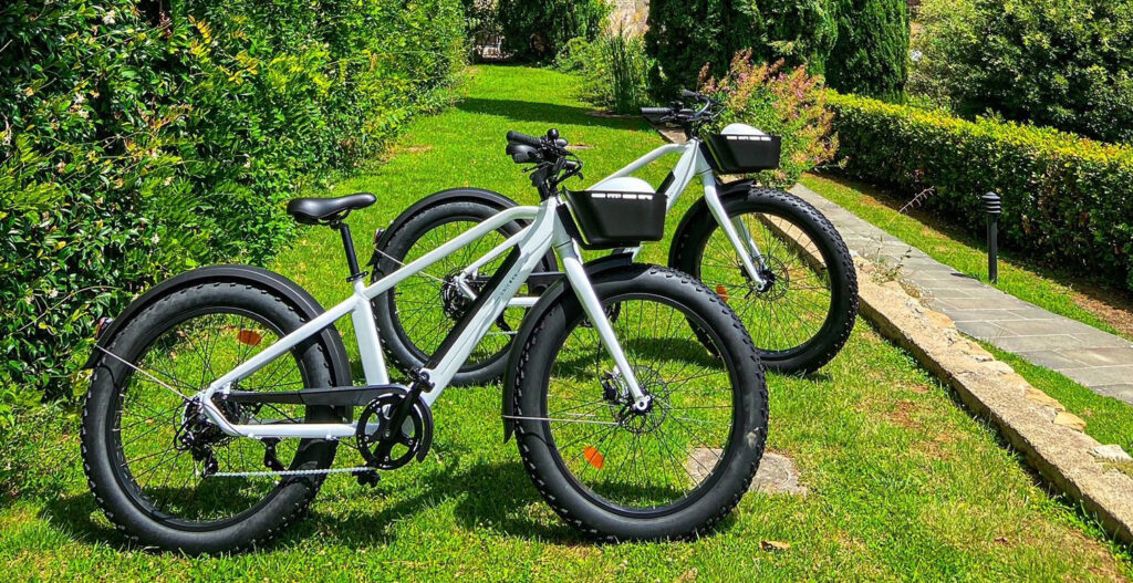 biciclette elettriche
